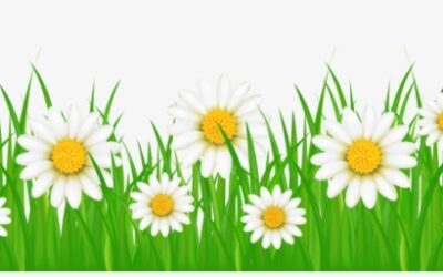 First Day of Spring 2022