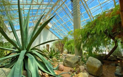 Botanical Conservatory