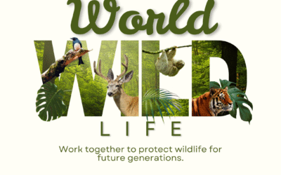 World Wildlife Day